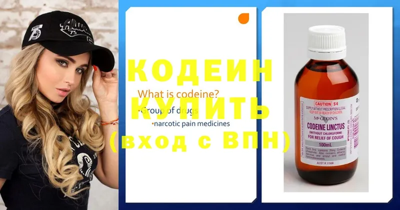 цены наркотик  Нижняя Тура  Кодеиновый сироп Lean Purple Drank 